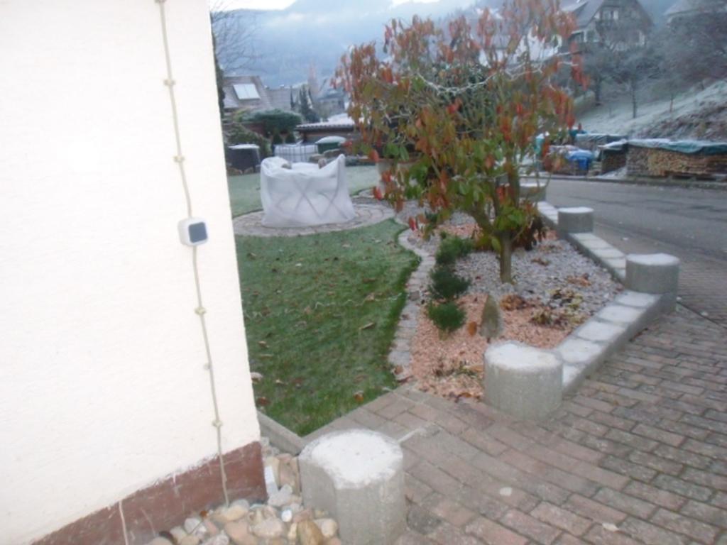 Ferienwohnung Zapf Forbach Buitenkant foto